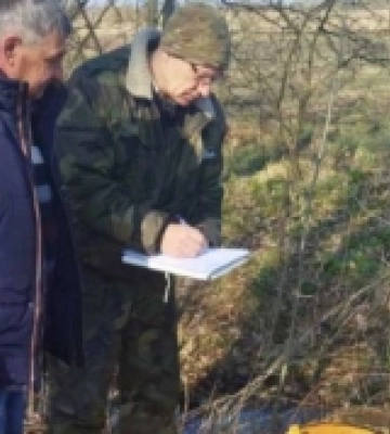 На Волині чоловік зрубав чотири берези на понад 10 тисяч гривень