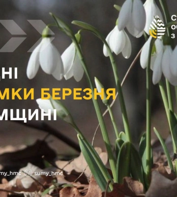 Пісок на сумських дитячий майданчиках у більшості випадків заражений паразитарним захворюванням -токсокарозом