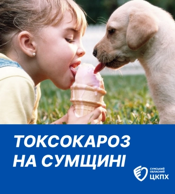 На Сумщині збільшується кількість захворювання на токсокароз