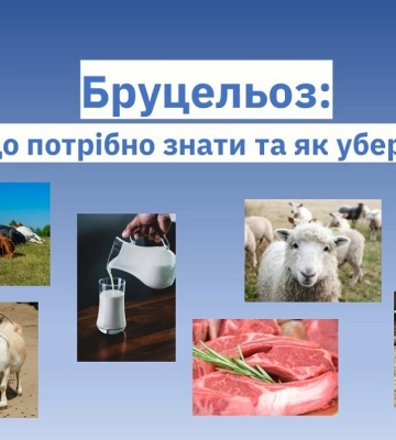 Лучанин підхопив хворобу, якої на Волині не було вже майже 20 років
