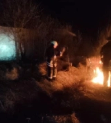 На Волині через загоряння сухої трави ледь не згорів дачний масив