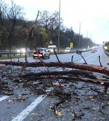 Штормовое предупреждение в Киеве – 2-3 апреля будут сильные порывы ветра