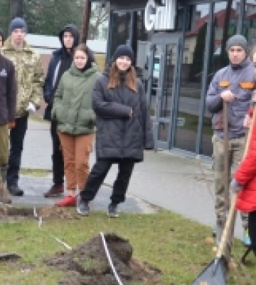 У Шацьку на Волині оновлюють дендропарк