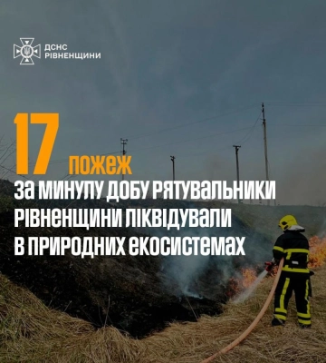 На Волині через пожежу сухої трави ледь не згорів дачний масив