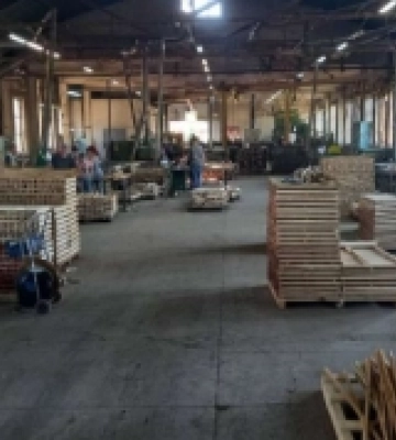 Під час торгів ціна зросла у 15 разів: на Рівненщині успішно продали паркетний цех і техніку