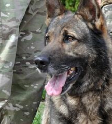 Полтавську кінологічну службу привітали зі святом