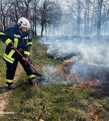 За добу на Дніпропетровщині сталося понад 60 пожеж в екосистемах: причини