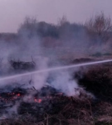 У громаді на Рівненщині вигоріло пів гектара чагарників