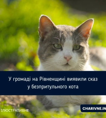 У Рівненському районі зафіксували випадок сказу у кота