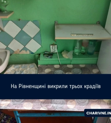 Поліцейські викрили на крадіжках мешканців Рівного та Дубенщини