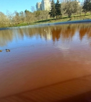 Вода у ставках парку Перемоги в Одесі стала коричневою: яка причина