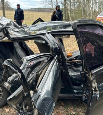 На Чернігівщині через падіння дерева на автівку загинули двоє людей
