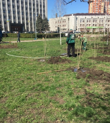 В Одесі висадили 100 молодих дерев акації та 43 калини
