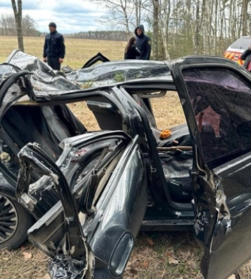 На Чернігівщині через падіння дерева на автівку загинули двоє людей