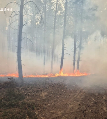 На Харківщині сталася масштабна пожежа через російські обстріли 