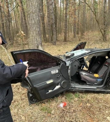 На Чернігівщині через падіння дерева на автівку загинули двоє людей