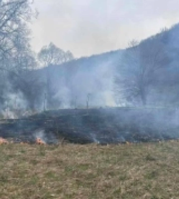 З початку року на Ужгородщині зафіксували 68 пожеж сухостою. ФОТО