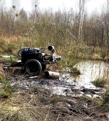 Бурштин, деревина та пісок: поліцейські Рівненщини продовжують виявляти злочини проти довкілля