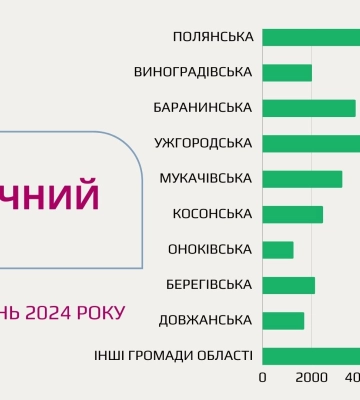 За перший квартал 2024 року на Закарпатті сплатили 4 млн грн туристичного збору