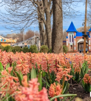 Весна, попри війну: Квітневий день у дендропарку Кропивницького (ФОТО)