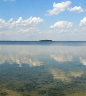 Будівельна компанія з Луцька приватизує базу відпочинку біля озера Світязь за 8,2 млн