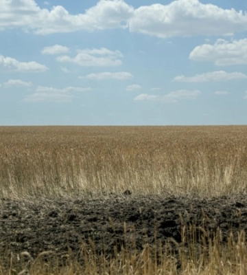Внаслідок російської повітряної атаки на Харківщину одна людина загинула, ще двоє — травмовані