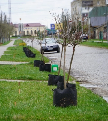 Посвідчення водія, реєстрація авто та ще понад 300 послуг: ЦНАП на Волині отримав статус «Дія Центр»