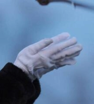 Тисячу врятованих кажанів випустять на волю у полтавському дендропарку