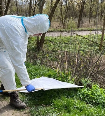 На Волині розпочався сезон кліщів: поради від медиків
