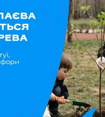 Навесні у Миколаєві висадять посухостійкі дерева