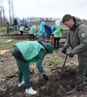 На прикордонні Сумщини висаджують ліси