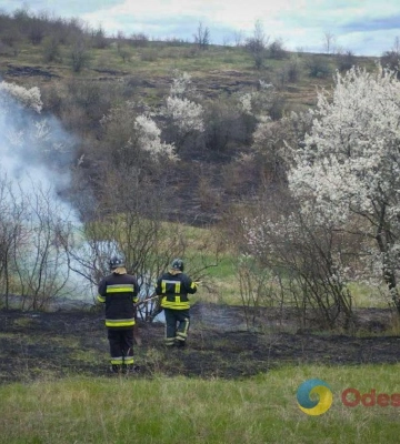 На Одещині оштрафували палія сухостою