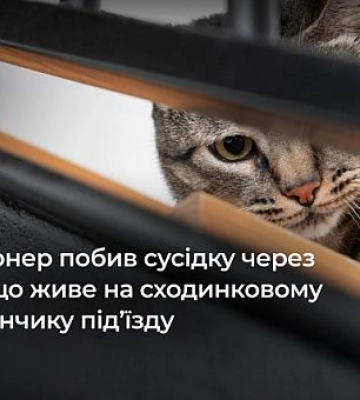 Пенсіонер з Кривого Рогу побив сусідку через кота, що живе у під’їзді: як його покарали