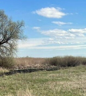 На Полтавщині чоловік підірвав себе невідомою вибухівкою