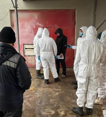 За масовий падіж птиці на Білопільщині відповість зоотехнік