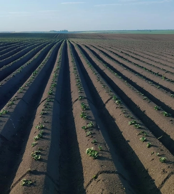 В Україні зросло число угод з продажу землі