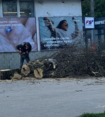Конфлікт через зрізані дерева у Бурштині: що відомо