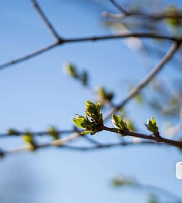 Целый день облачно: погода в Кривом Роге на 6 апреля