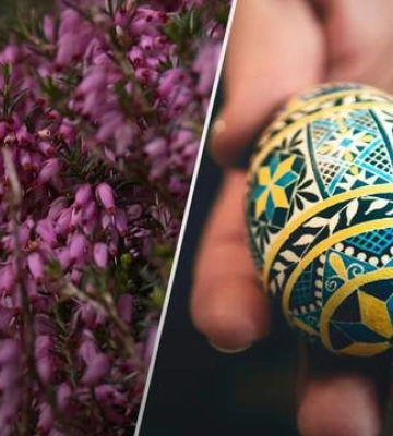 Отдохнуть душой и зарядиться позитивом: куда пойти во Львове на выходных