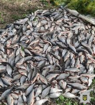 Полтавця зобов&#039;язали виплатити майже 2 млн гривень за незаконний вилов риби
