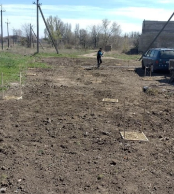 У селищі Нововоронцовка на Херсонщині висадили дерева на місці, де раніше був смітник