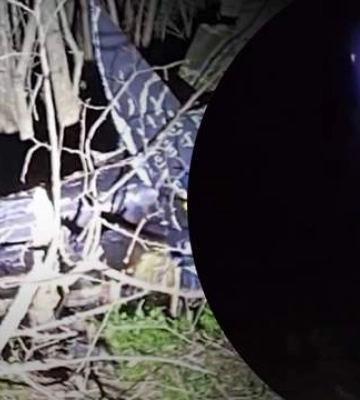 На Херсонщині мобільні вогневі групи збили вночі шість &quot;шахедів&quot;: Олещук показав відео