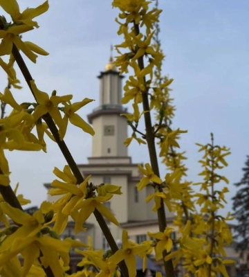 Мінлива хмарність: погода на Прикарпатті 7 квітня