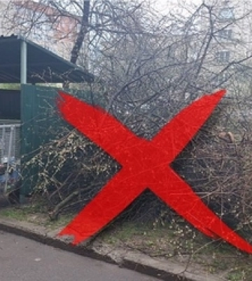 У Луцьку покарали жінку через гілля біля смітників 