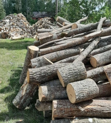 За продаж неіснуючих дров перед судом постане 26-річний костопільчанин