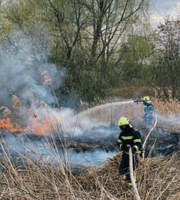 У Києві загорівся трав'яний настил у Cвятошинському районі