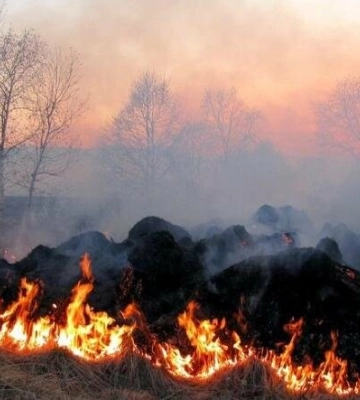 На Дніпропетровщині попереджають про пожежну небезпеку. Якою буде погода в найближчі дні