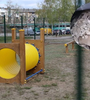 У Дніпрі на майданчику для собак невідомі розкидали скло