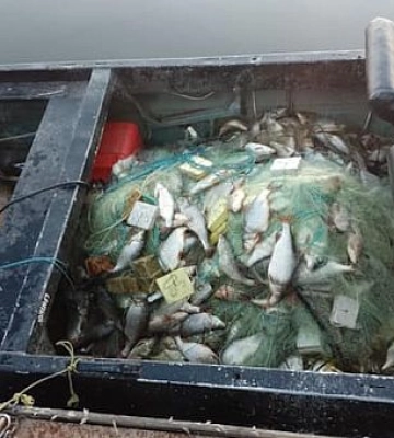 На Дніпропетровщині з браконьєрських сіток вилучили понад 300 кг риби