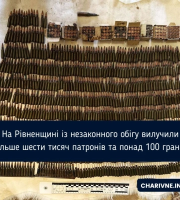 Гранатомети, вибухівка та патрони: скільки зброї й боєприпасів незаконно зберігали жителі Рівненщини